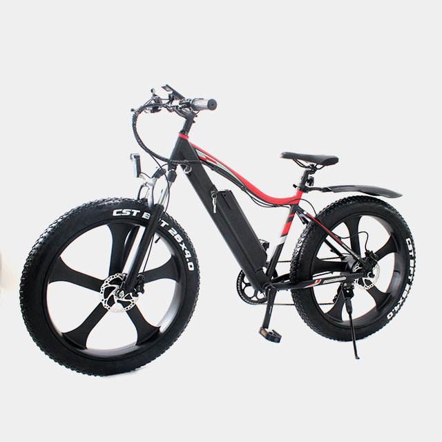 48V 1000W 750W Fly Electric Electric Bike Mountain Electric Bicycle