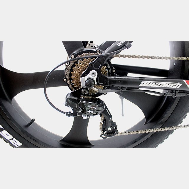 48V 1000W 750W Fly Electric Electric Bike Mountain Electric Bicycle