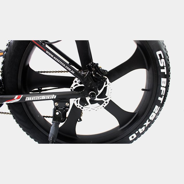 48V 1000W 750W Fly Electric Electric Bike Mountain Electric Bicycle