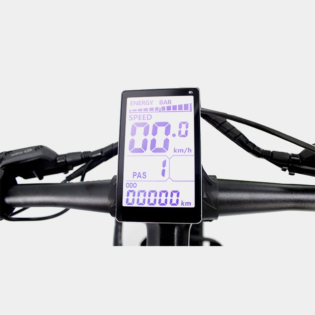 48V 1000W 750W Fly Electric Electric Bike Mountain Electric Bicycle