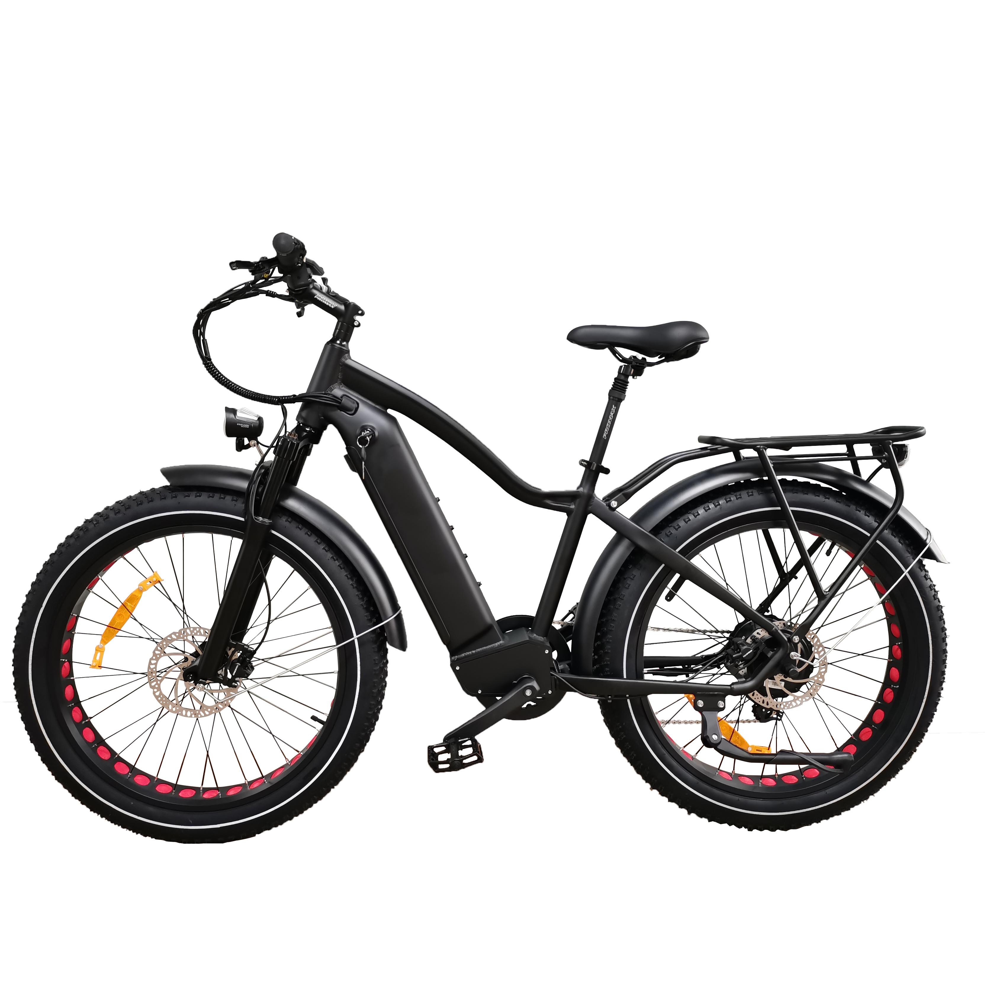 QUEENE/Mountain Electric Bike Canada US Market 750W Motor Electric Bike