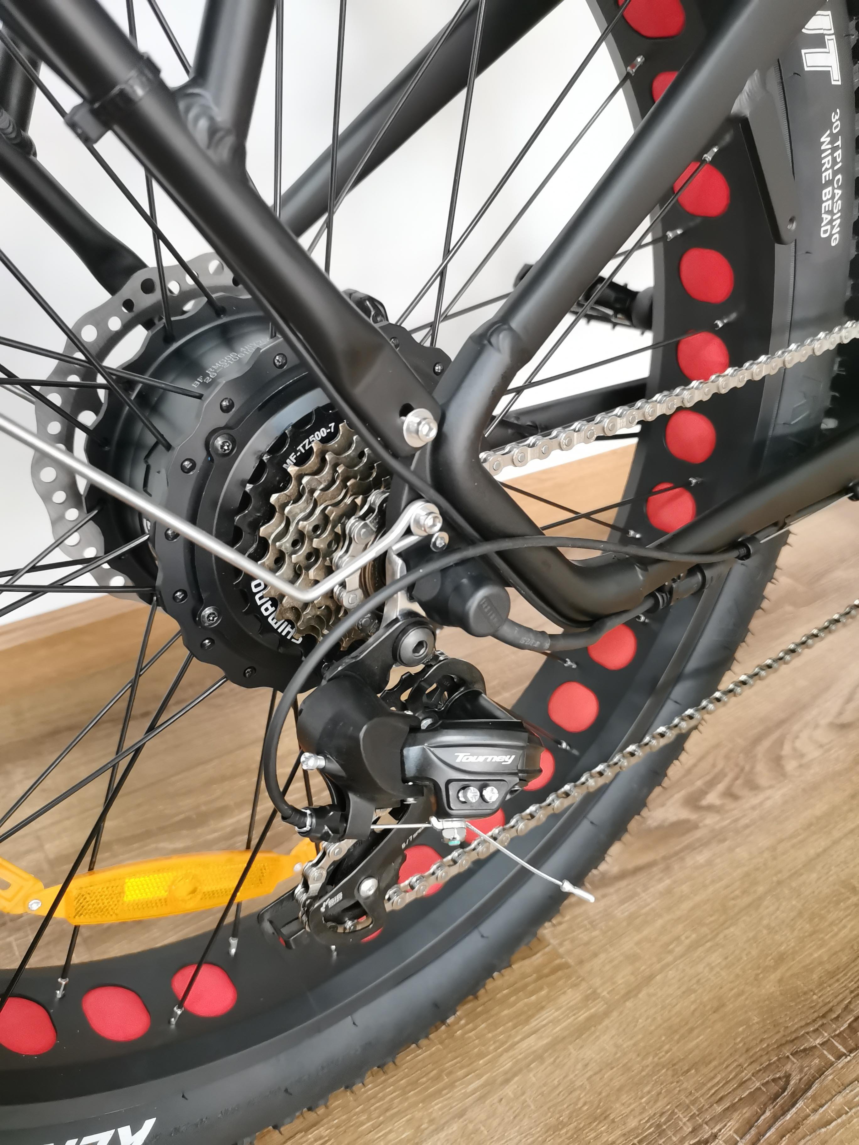 QUEENE/Mountain Electric Bike Canada US Market 750W Motor Electric Bike