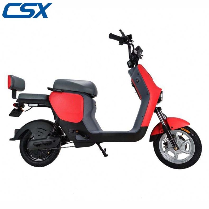 China Professional Supply High Quality Mountain Electric Bikes