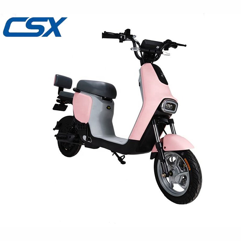 China Professional Supply High Quality Mountain Electric Bikes