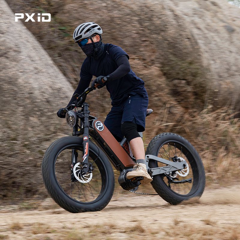 PXID ANTELOPE P5 e bike 24 inch fatbike electric mountain bike