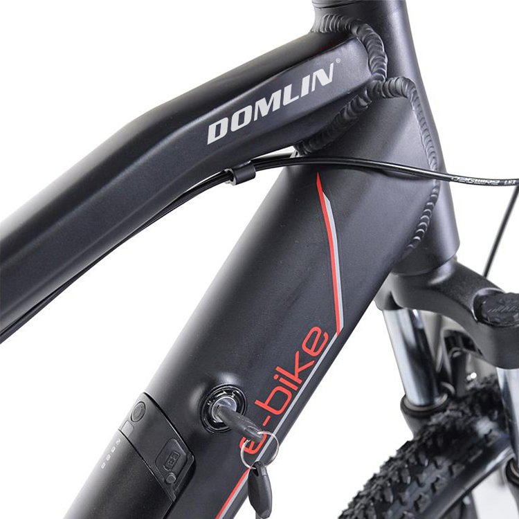 OEM ODM Electric Mountain Bicycle Electric Bike 1000W 7 Speed E Bicycle