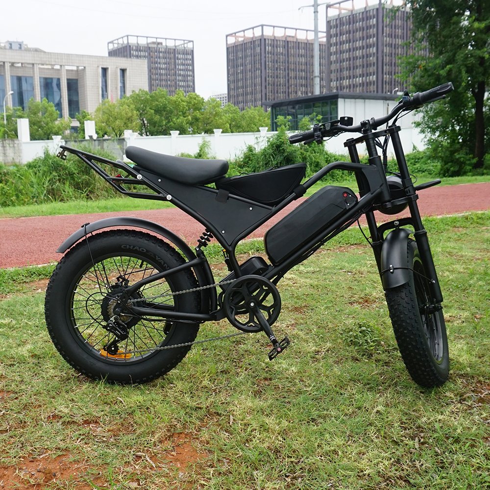 Factory Customization Mountain Electric Bike 25km/h Bicycle Electrical Moped Fat Tire Cheap Vietnam Electric Bike