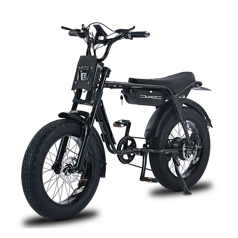 US Ready Stock 20 Inch Surron Ebike Motorcycle 750W 1000W Electric Dirt Fat Tire City Mountain Hybrid Motor E Bike MTB For Men