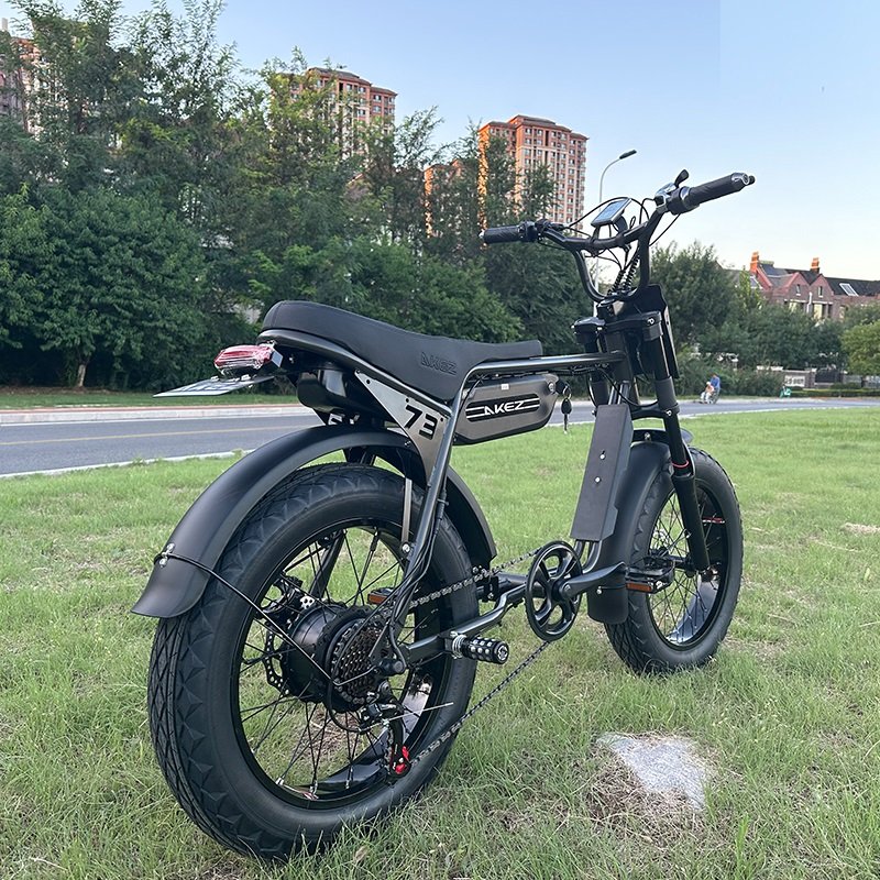 US Ready Stock 20 Inch Surron Ebike Motorcycle 750W 1000W Electric Dirt Fat Tire City Mountain Hybrid Motor E Bike MTB For Men