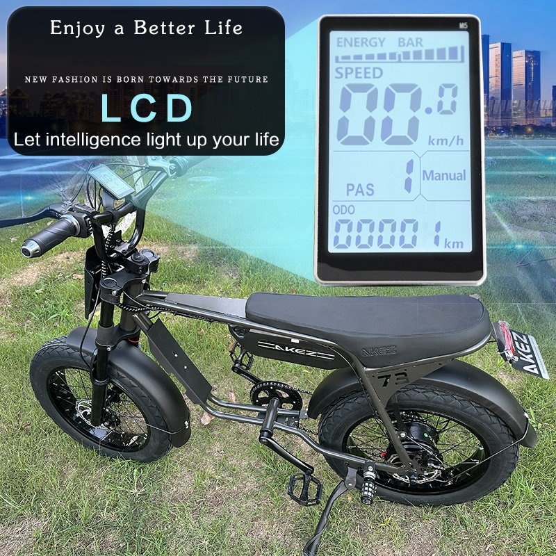 US Ready Stock 20 Inch Surron Ebike Motorcycle 750W 1000W Electric Dirt Fat Tire City Mountain Hybrid Motor E Bike MTB For Men