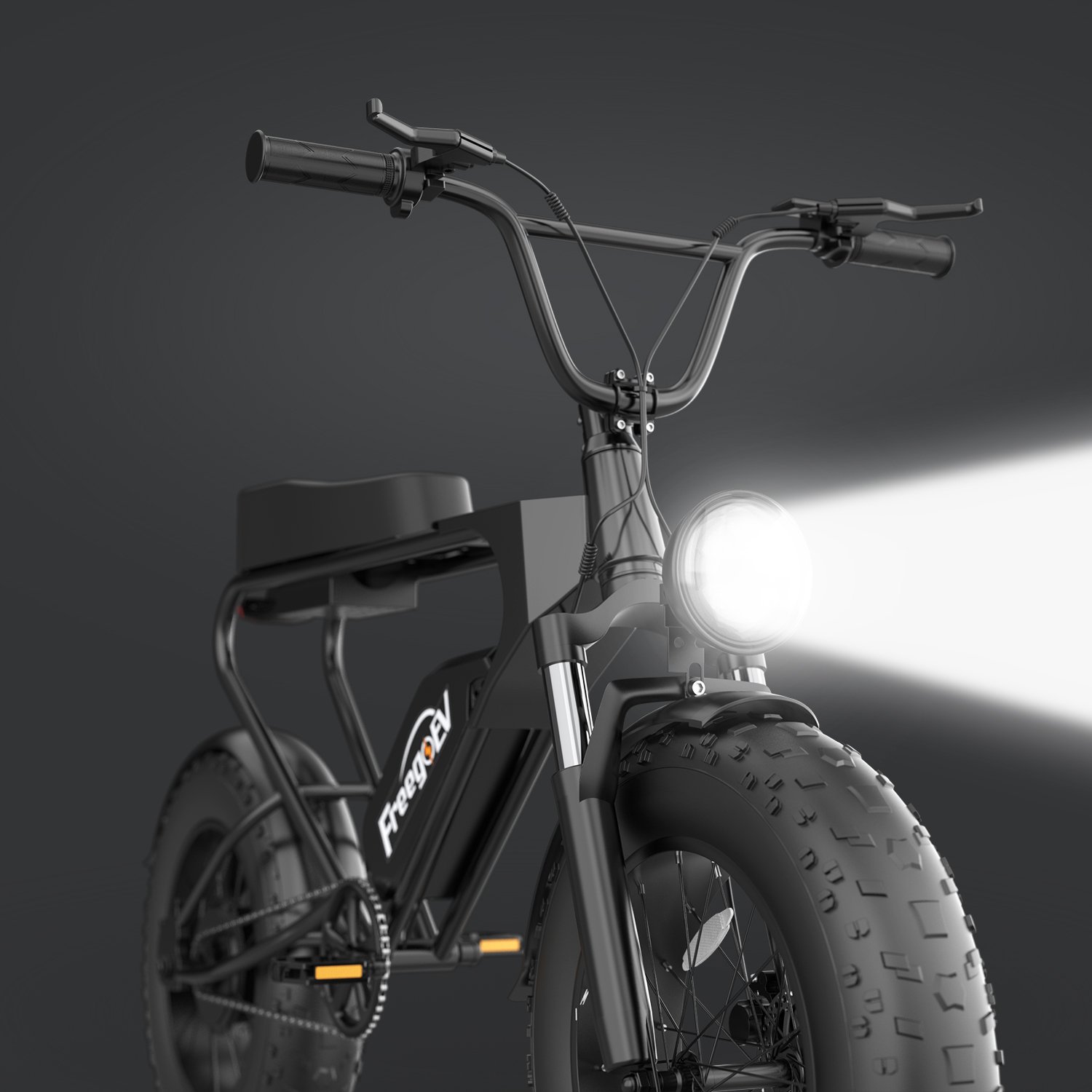 OEM Golden Manufacturer 1200W Mid Motor Electric Bike electric Mountain Bike