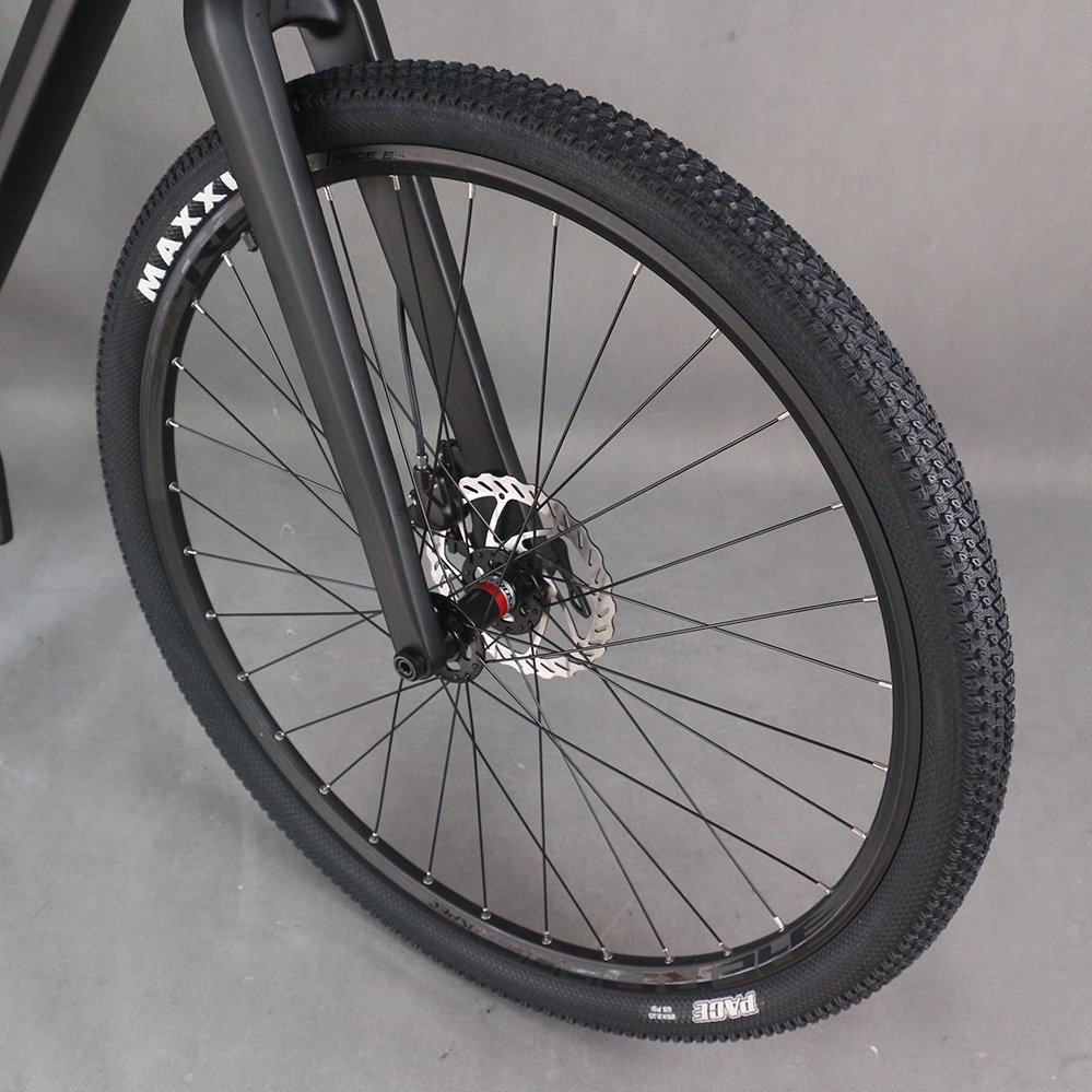 HT MTB M06 Complete bike 29er Boost Hardtail Mountain Bike 1*13S LTWOO Groupset hydraulic disc brake bicycle Aluminum Wheelset