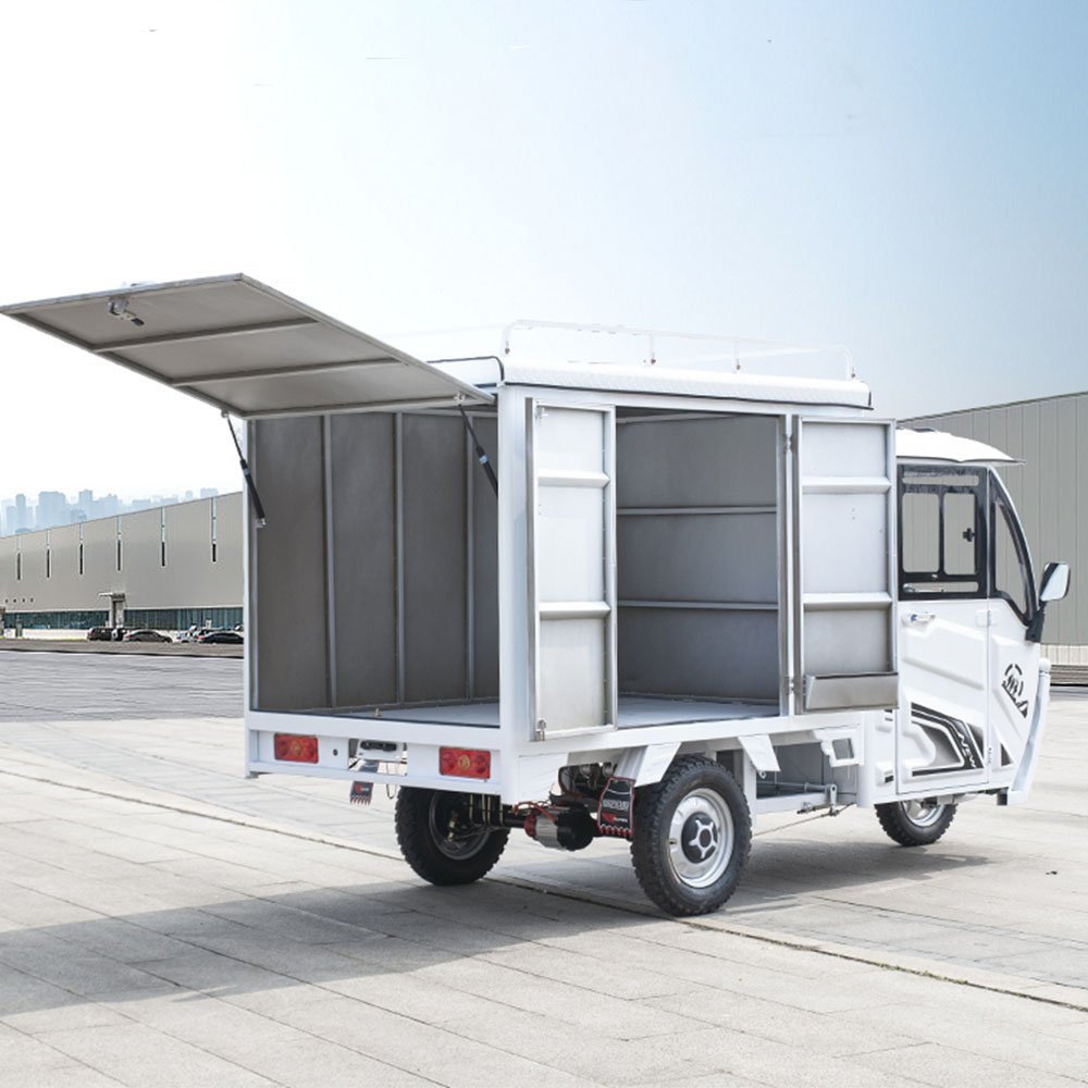 ZS Powerful High Speed Fashion 3 Wheels Passengers Fuel Engine Motorcycles Fully Enclosed Covered Mobility Electric Scooter