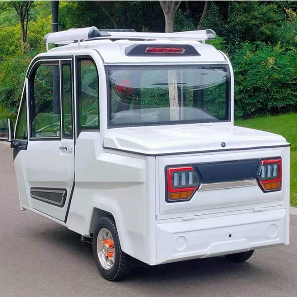 ZS Powerful High Speed Fashion 3 Wheels Passengers Fuel Engine Motorcycles Fully Enclosed Covered Mobility Electric Scooter