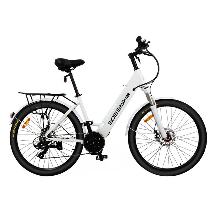 Ebike Cheap Pedelec Street Enduro Bicycle Electric City Bike