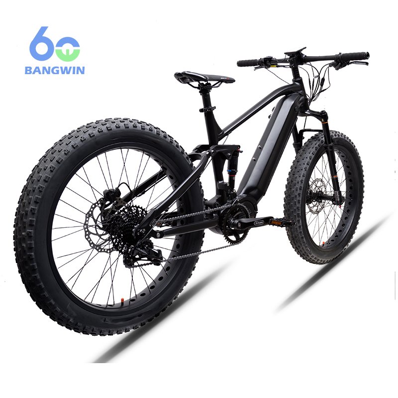 BW G510 M620 48V/52V 750W Electric Mountain Bike Bafang Electric Bicycle Mountain Bike