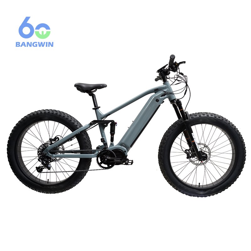 BW G510 M620 48V/52V 750W Electric Mountain Bike Bafang Electric Bicycle Mountain Bike