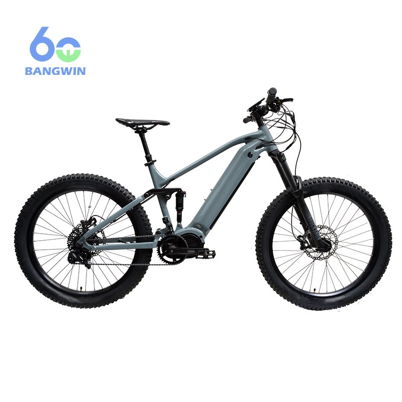 BW G510 M620 48V/52V 750W Electric Mountain Bike Bafang Electric Bicycle Mountain Bike