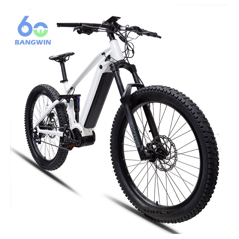 BW G510 M620 48V/52V 750W Electric Mountain Bike Bafang Electric Bicycle Mountain Bike