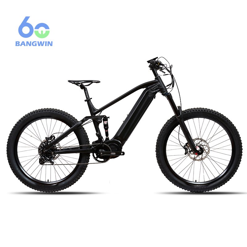 BW G510 M620 48V/52V 750W Electric Mountain Bike Bafang Electric Bicycle Mountain Bike