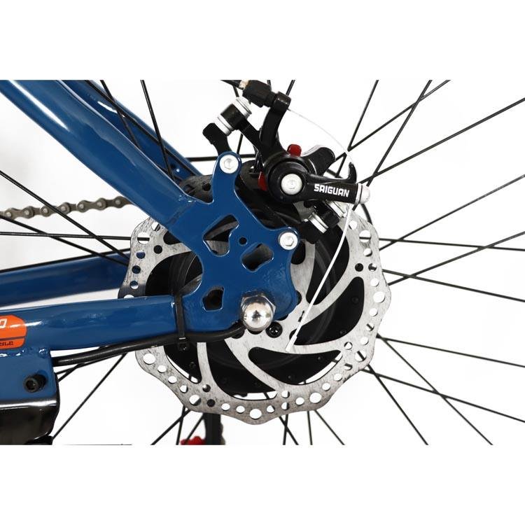 Chinese manufacturer custom electric mountain bike 36V/48V 250W/350W/500W electric mountain bike