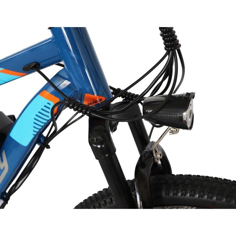 Chinese manufacturer custom electric mountain bike 36V/48V 250W/350W/500W electric mountain bike