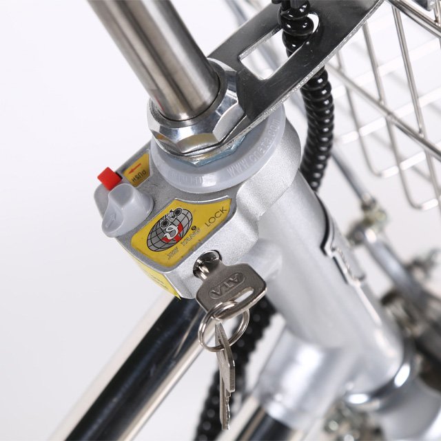 Speed High Speed 36V Lithium Battery Waterproof Powerful Mountain Electric Bicycle Fat Tire Motor E Bike