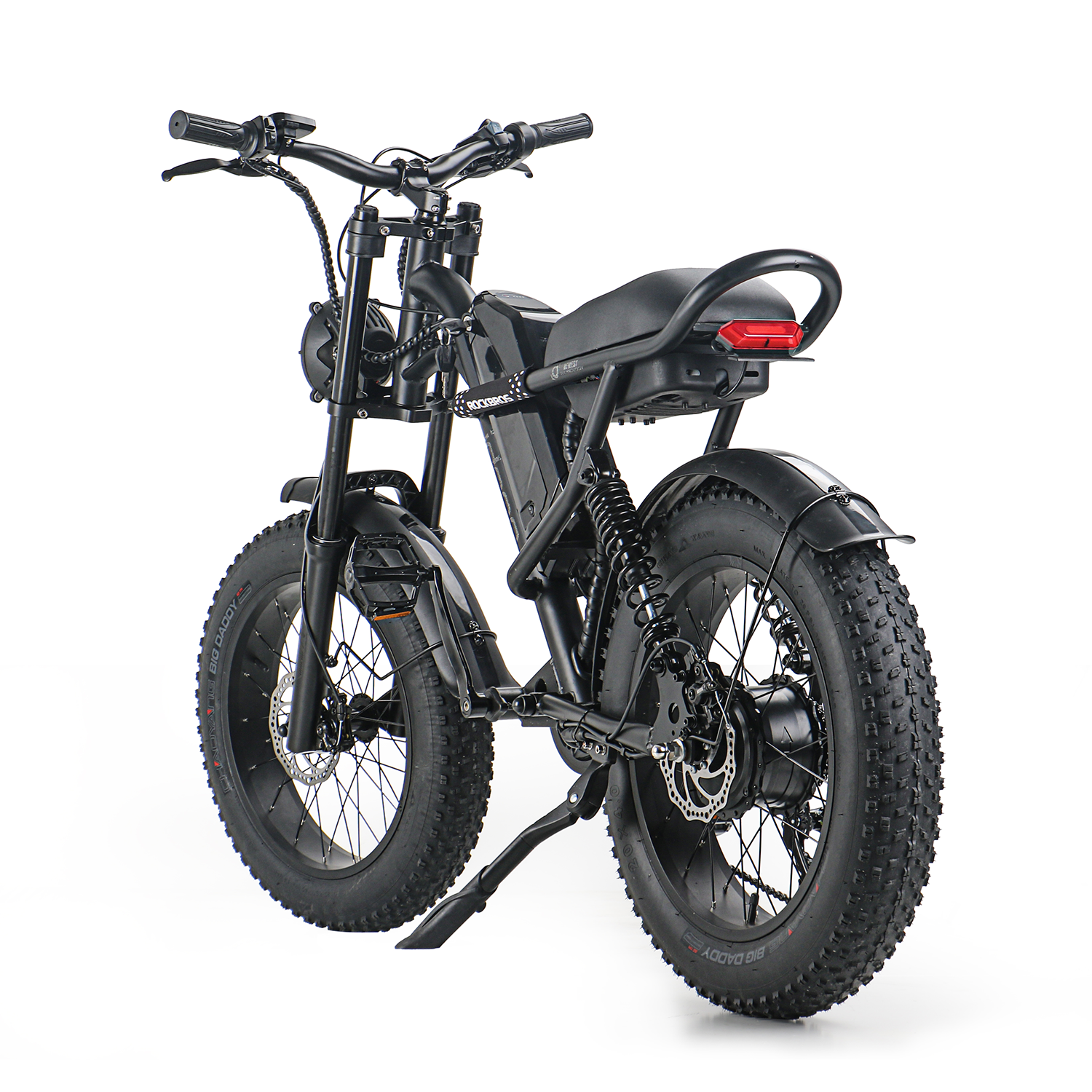 2024 Hot Sell 250W 1000W Fat Tire Electric Bike 20 Inch City Adults Ebike 48V Mountain Electric Bicycle electric bike adult