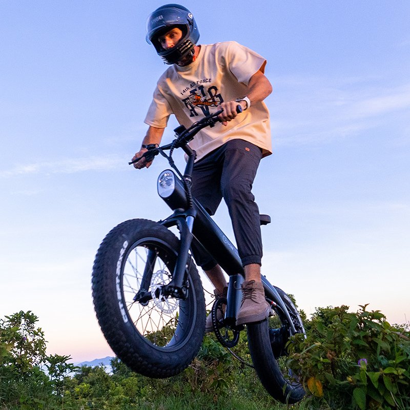 OEM/ODM 20 Inch Fabike E Bike Motor cycle Hybrid Cycle Mountain Road City Ebike Electronic Bicycle Fat Tire Electric Bike Adult