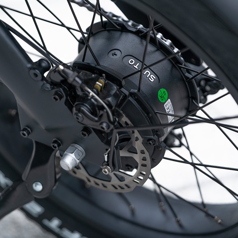 OEM/ODM 20 Inch Fabike E Bike Motor cycle Hybrid Cycle Mountain Road City Ebike Electronic Bicycle Fat Tire Electric Bike Adult