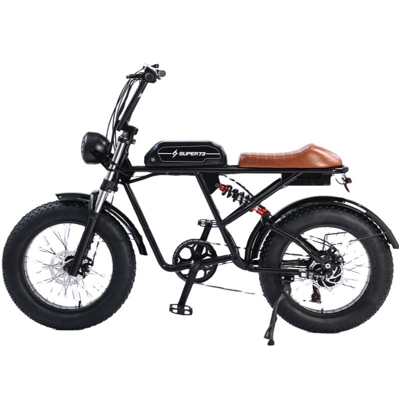 Hot Sale Logo Customized 48V 500W New Electric Mountain Bike Fat Tire 20'' Mountain bike 500W Electric Snow Bike 750w For Adult