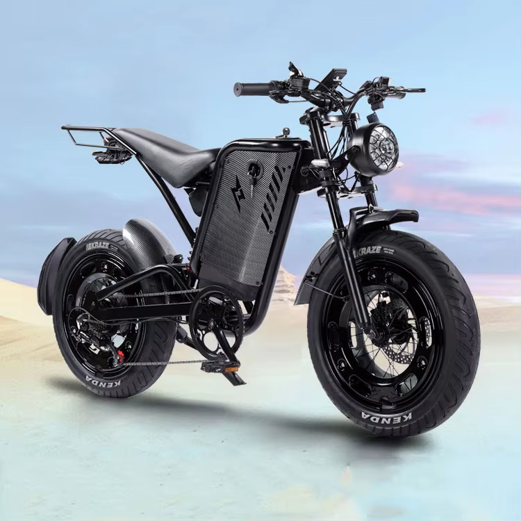 48V 1000W Fat Tire Electric Dirt Bikes for Adults All-Terrain Aluminum Alloy Mountain Bikes with Hub Motor Rear Hub