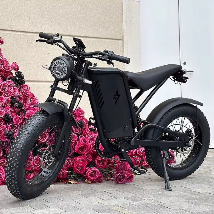 48V 1000W Fat Tire Electric Dirt Bikes for Adults All-Terrain Aluminum Alloy Mountain Bikes with Hub Motor Rear Hub