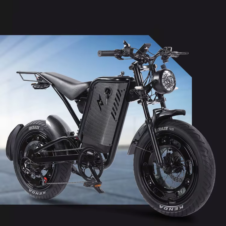 48V 1000W Fat Tire Electric Dirt Bikes for Adults All-Terrain Aluminum Alloy Mountain Bikes with Hub Motor Rear Hub