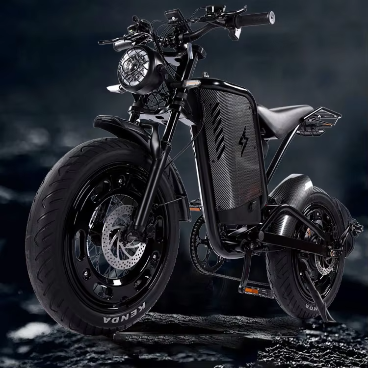 48V 1000W Fat Tire Electric Dirt Bikes for Adults All-Terrain Aluminum Alloy Mountain Bikes with Hub Motor Rear Hub