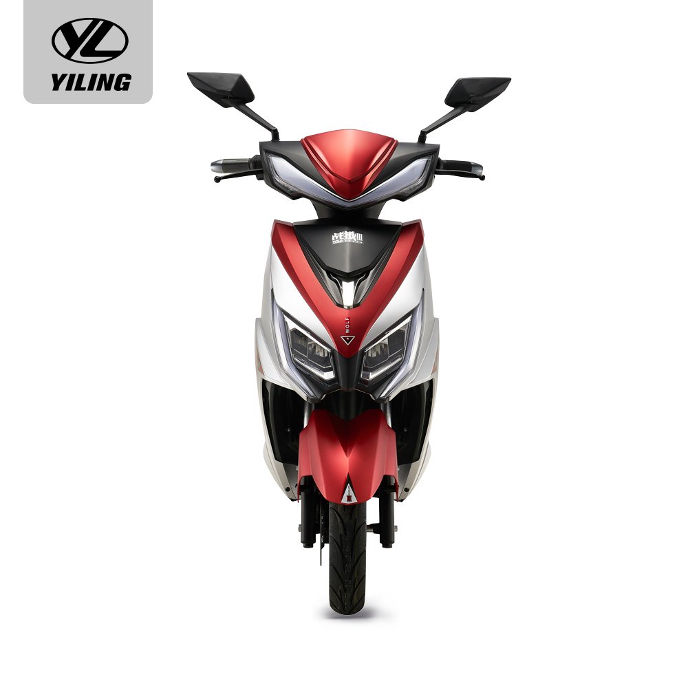 india 1000w 1500w 2000w ckd motorcycle electric adult