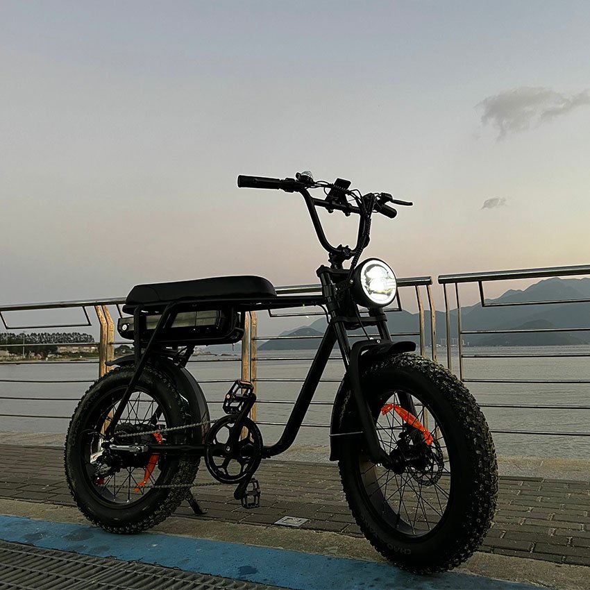 Fast Delivery E-bike Vintage 20'' Fat Tire Mountain Bike Two Seat Electric Fatbike High Power Off Rode Electric Bicycle