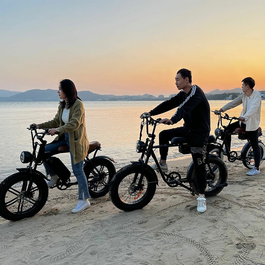 Fast Delivery E-bike Vintage 20'' Fat Tire Mountain Bike Two Seat Electric Fatbike High Power Off Rode Electric Bicycle