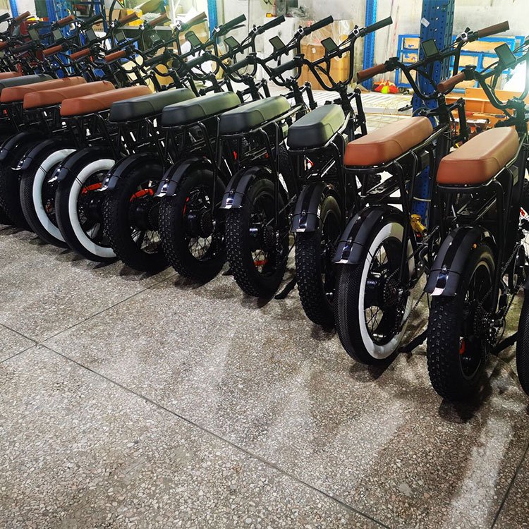 Fast Delivery E-bike Vintage 20'' Fat Tire Mountain Bike Two Seat Electric Fatbike High Power Off Rode Electric Bicycle