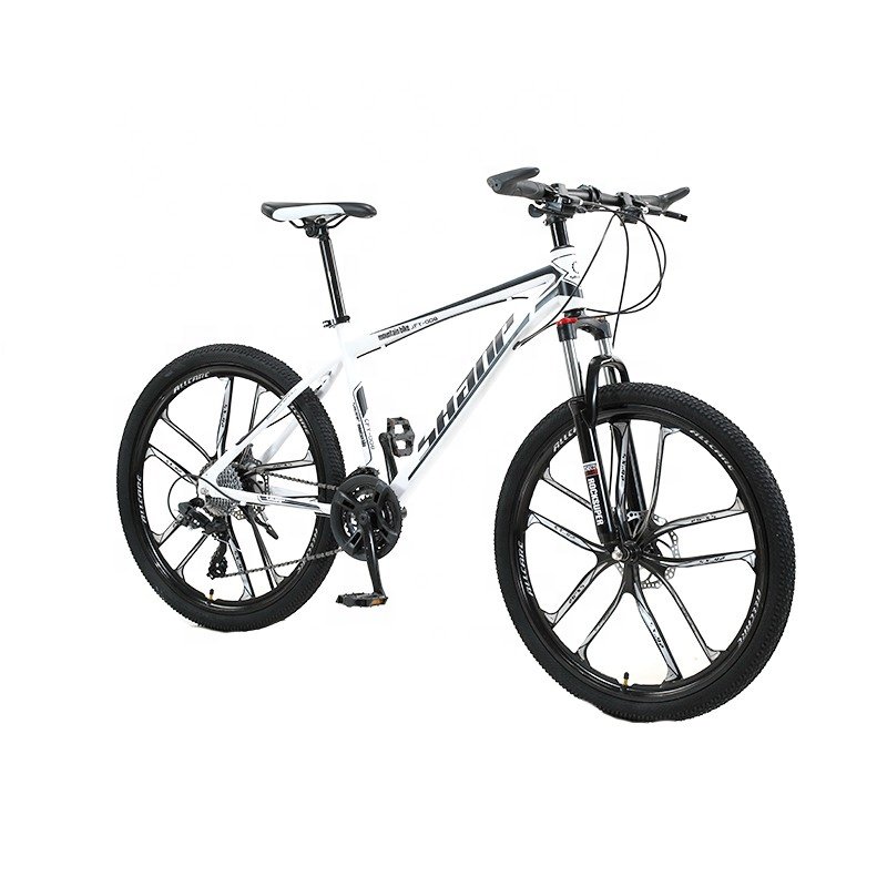 Direct Supplier Wholesale 24 26 Inch 24 Speed Spoked Wheel Custom Aluminium Adult Mtb Bicycle Mountain Bike For Sale