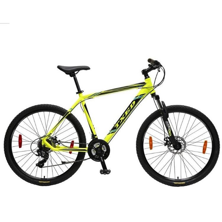 Tianjin Bicycle Factory TXED Mountain Bike