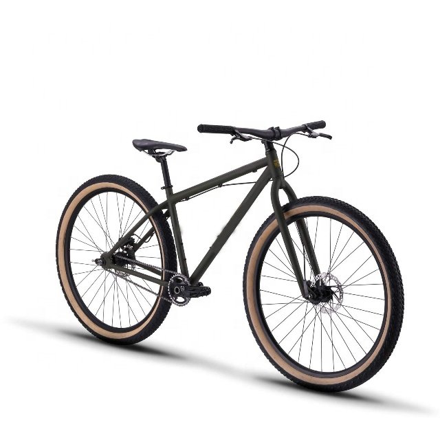 Factory store New arrival product 29 inch single speed mountain bike for Adult