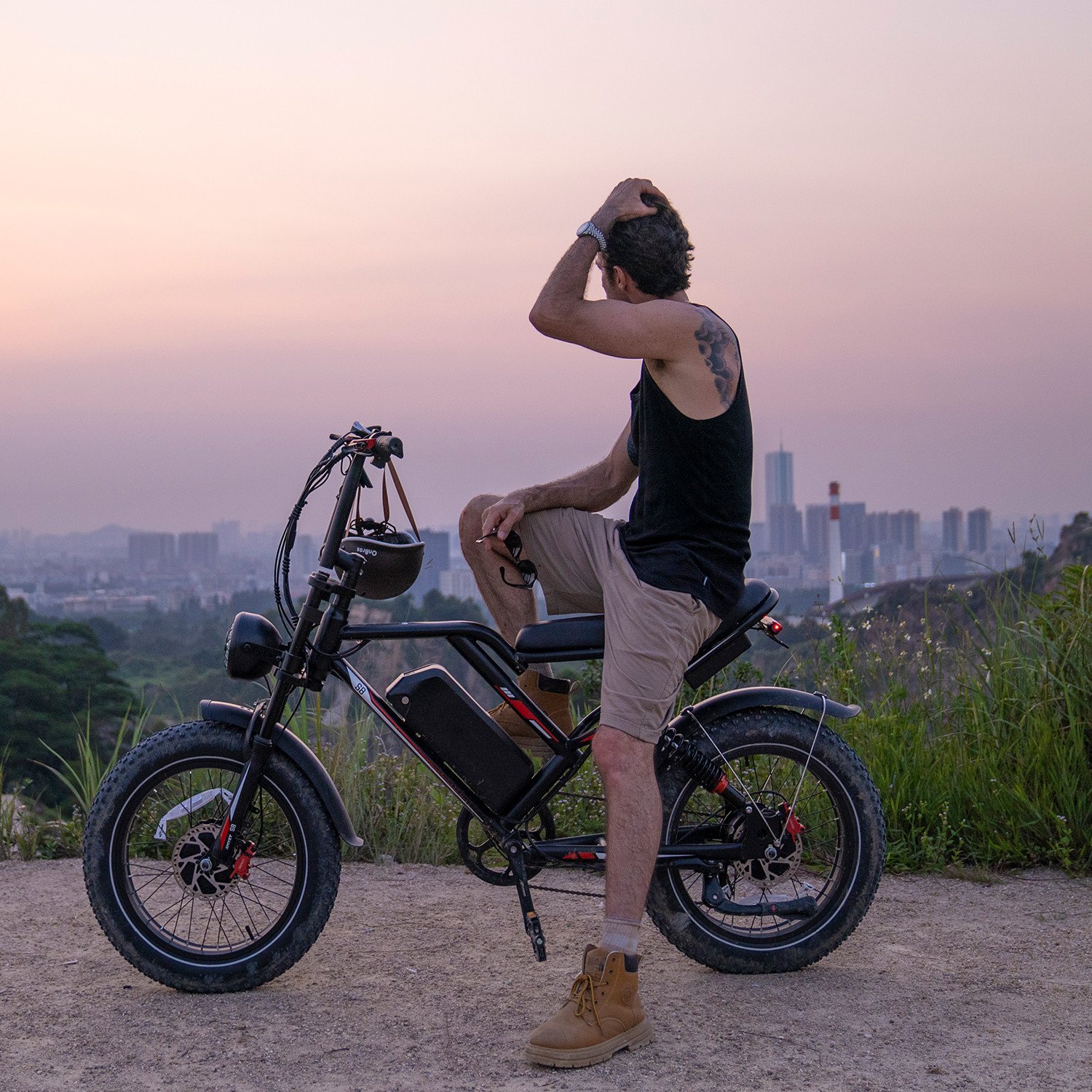 EU Netherlands V20 V8 S8 250W Electric City Bike 48V 17.5Ah Dual Suspension Electric Bicycle Wholesale 20inch fat tire E-bike