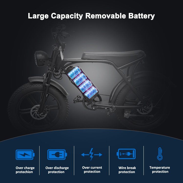 LEAPER 20 inch Fat Tire Adult Men City Road Dirt Steel Frame Retro Lithium Battery 15AH 48V 750W eBike Electric Mountain Bike EU