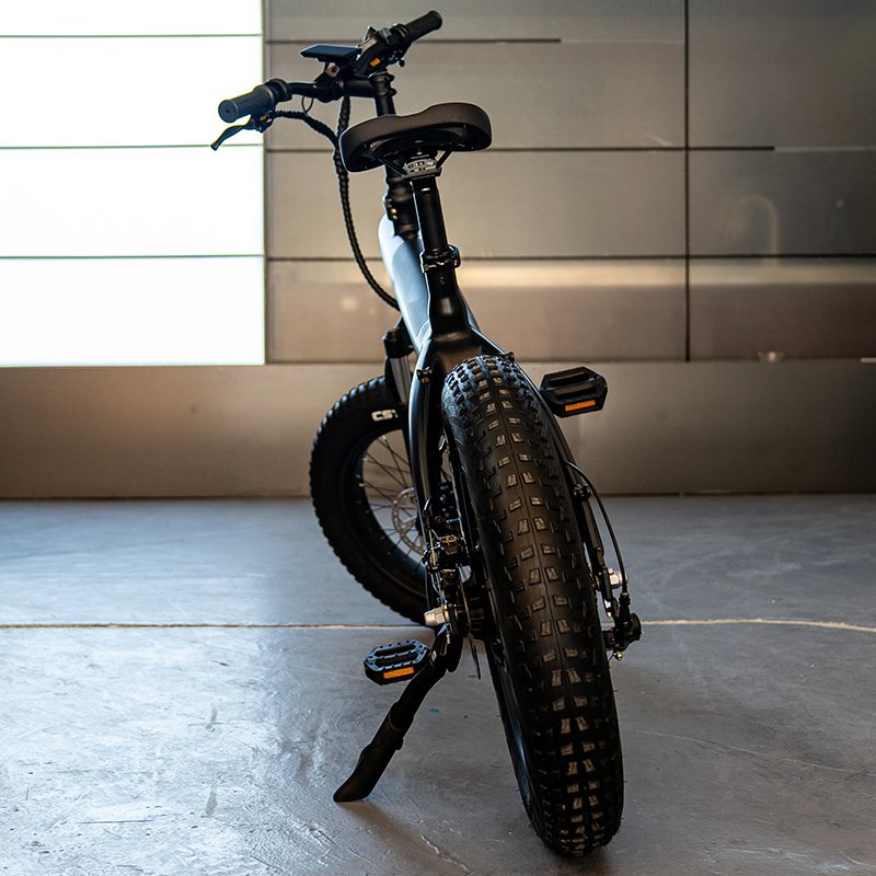 2024 Q3 Electric Bike Men 100km Long Range 750w Motor 20 Inch Big Wheel Mountain Cargo Bicicleta Electrica E Bike Cargo E Cycles