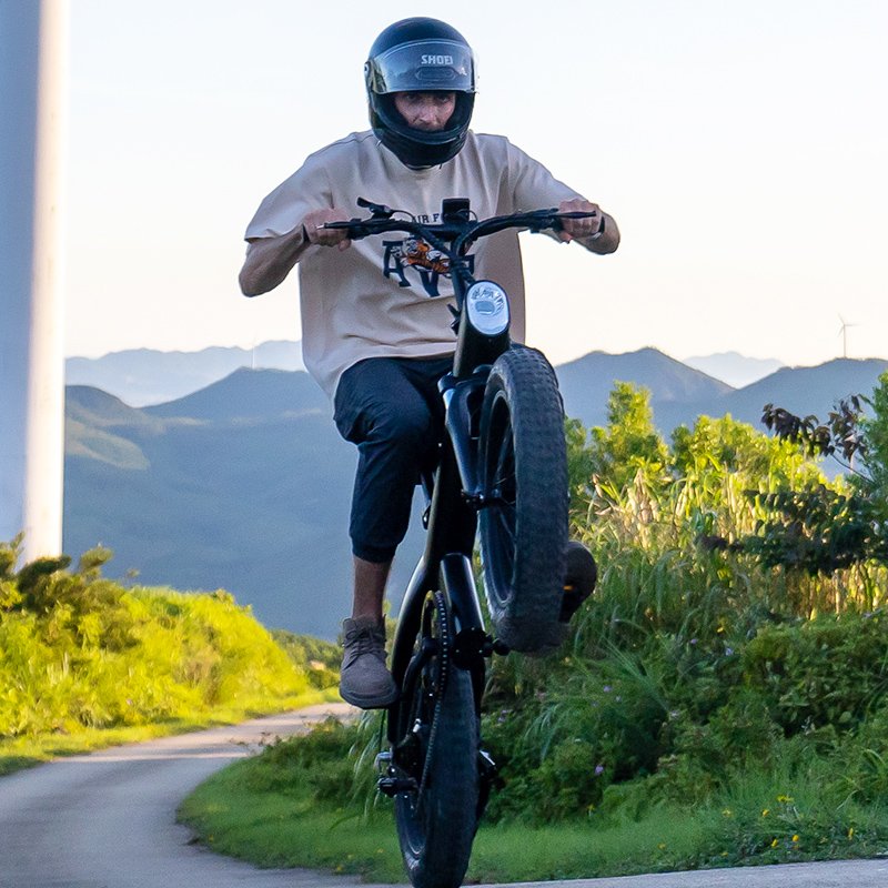2024 Q3 Electric Bike Men 100km Long Range 750w Motor 20 Inch Big Wheel Mountain Cargo Bicicleta Electrica E Bike Cargo E Cycles