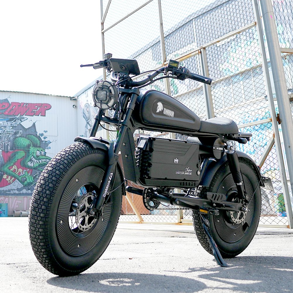 1500W 48V electronic mountain bike popular high power lithium battery electric motorcycle Electric bike 20 inch aluminum alloy