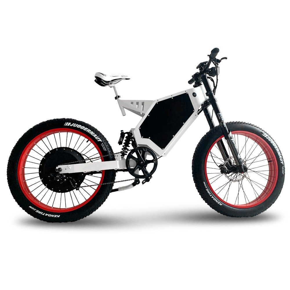 Hot selling cheap price 2000w 3000w 5000w electric bike charging time 6-8 hours electric bicycle bike for adult