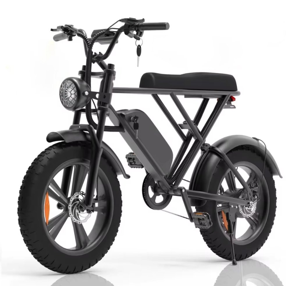 Factory direct electric city bike 1000w 48v e-bike fat tyre 7 speed electric mountain bike adult