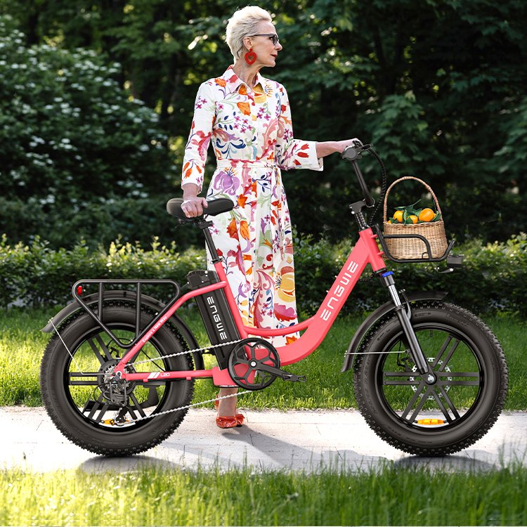 ENGWE L20 EU Warehouse Fat Tire Electric Moped Bike 20in Tire Adults Ebike Motorcycles 13Ah Lithium Battery Electric Bicycle